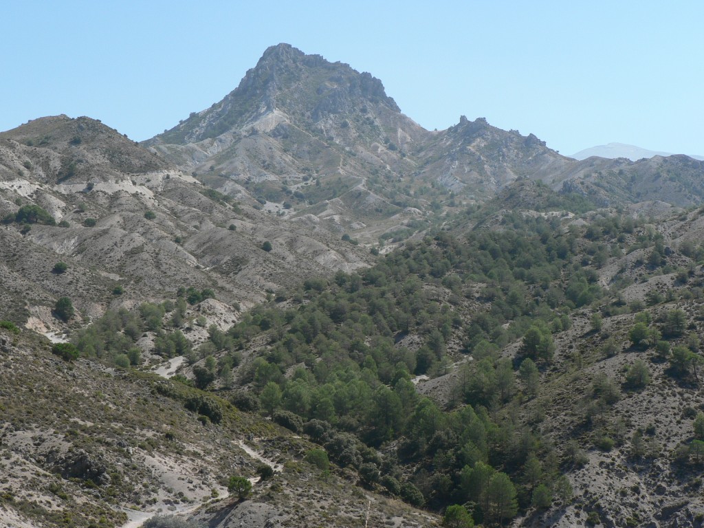 Trevenque