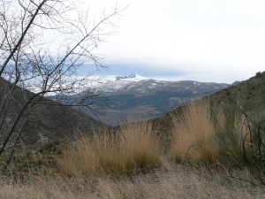 View Veleta