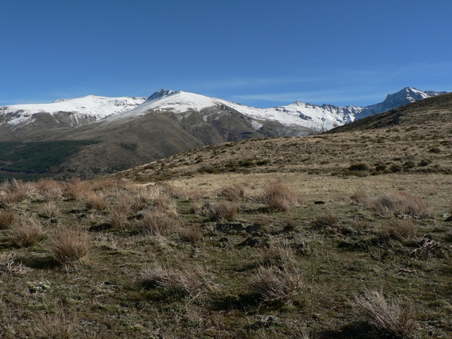 Sierra Winter