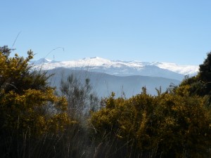 Sierra Nevada view